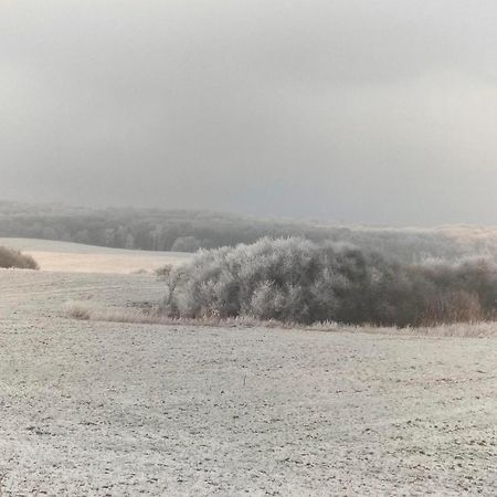 Ferienwohnung Uckermarkblick Ziehten Eksteriør billede