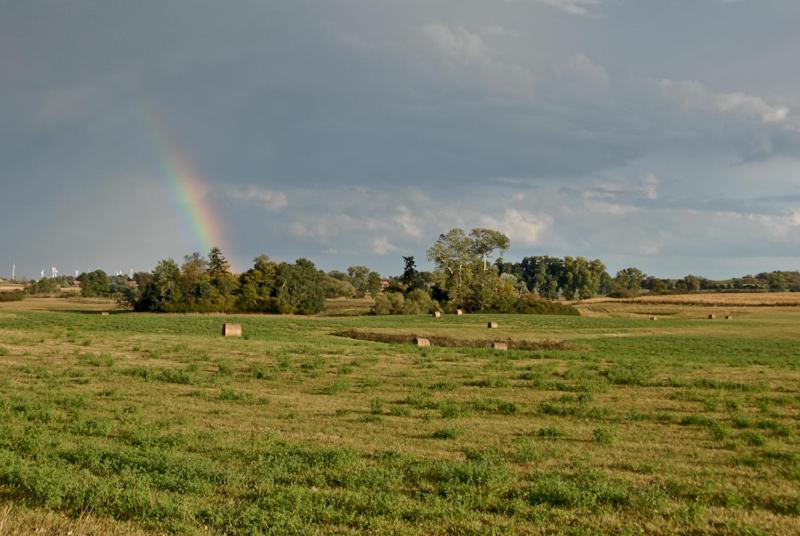 Ferienwohnung Uckermarkblick Ziehten Eksteriør billede