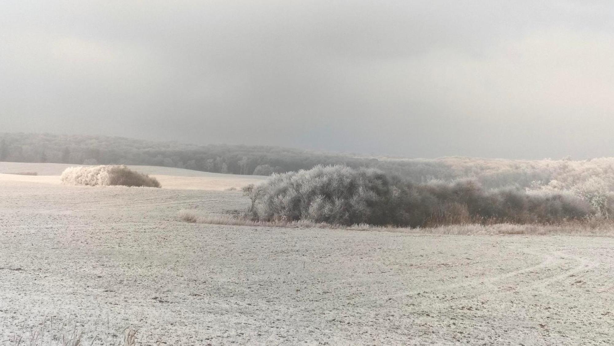Ferienwohnung Uckermarkblick Ziehten Eksteriør billede