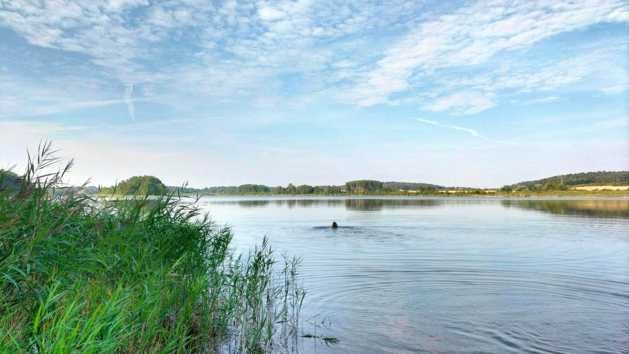 Ferienwohnung Uckermarkblick Ziehten Eksteriør billede